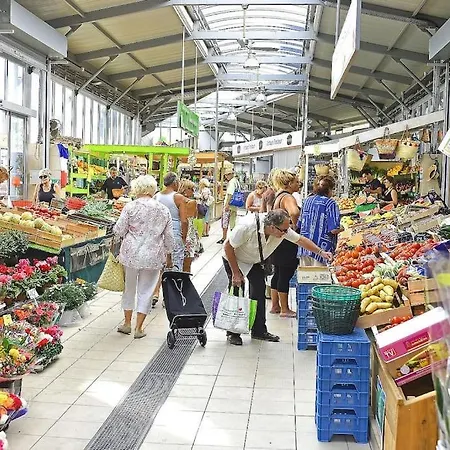 아파트 Rebeca - 4 Pers Standing - Hyper Centre -terrasse Saint-Raphaël